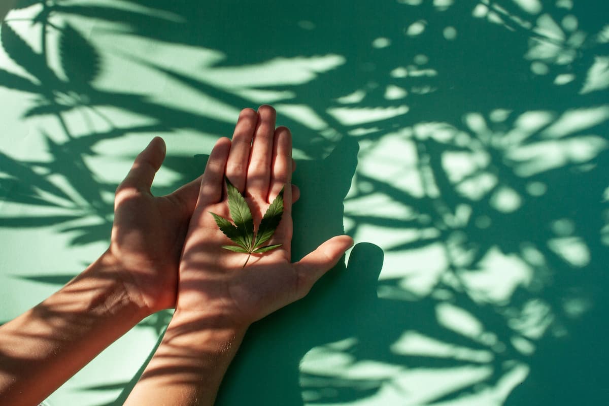 Comment le CBD peut-il apaiser les tourments de l’esprit ?